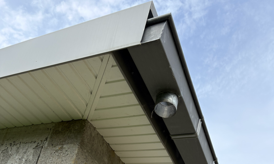 Gouttière zinc et cache-moineaux